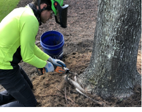 A person in a green shirt and green helmet cutting a tree