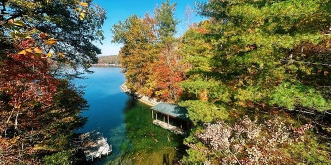 Monster Tree Service Image