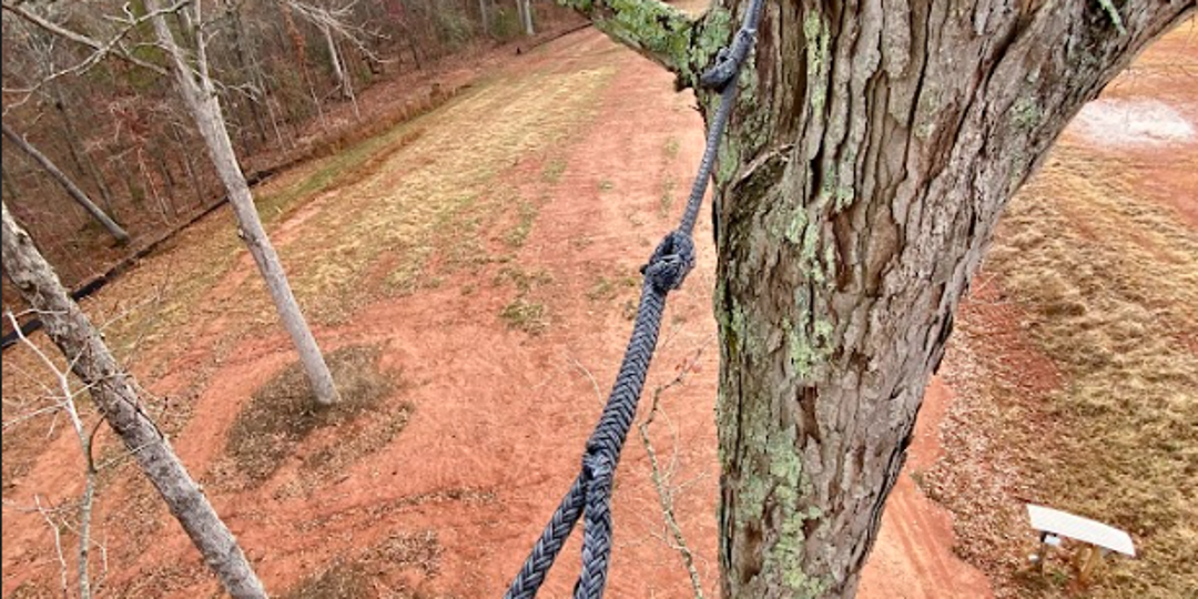 Monster Tree Service Image