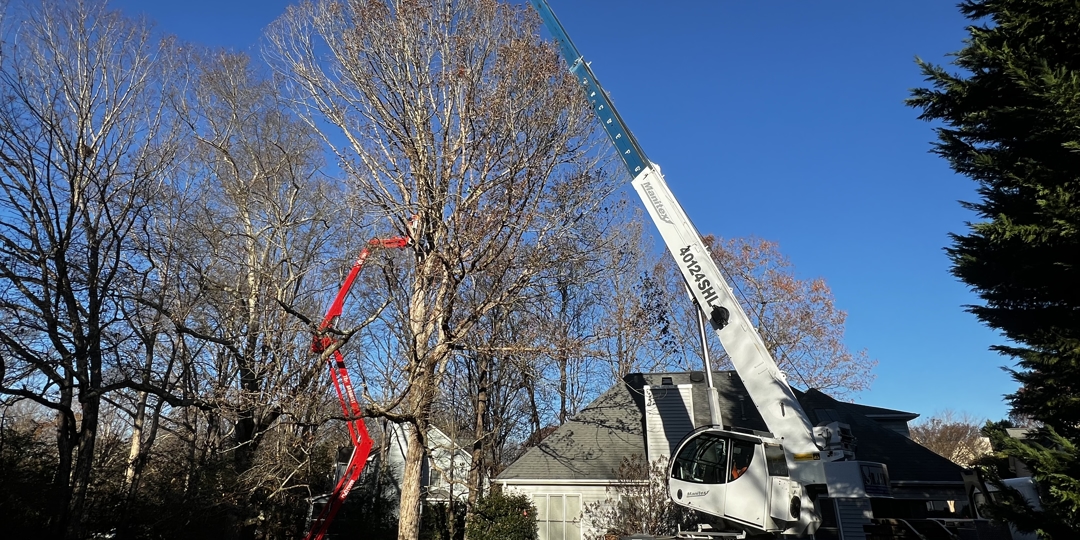Monster Tree Service Image