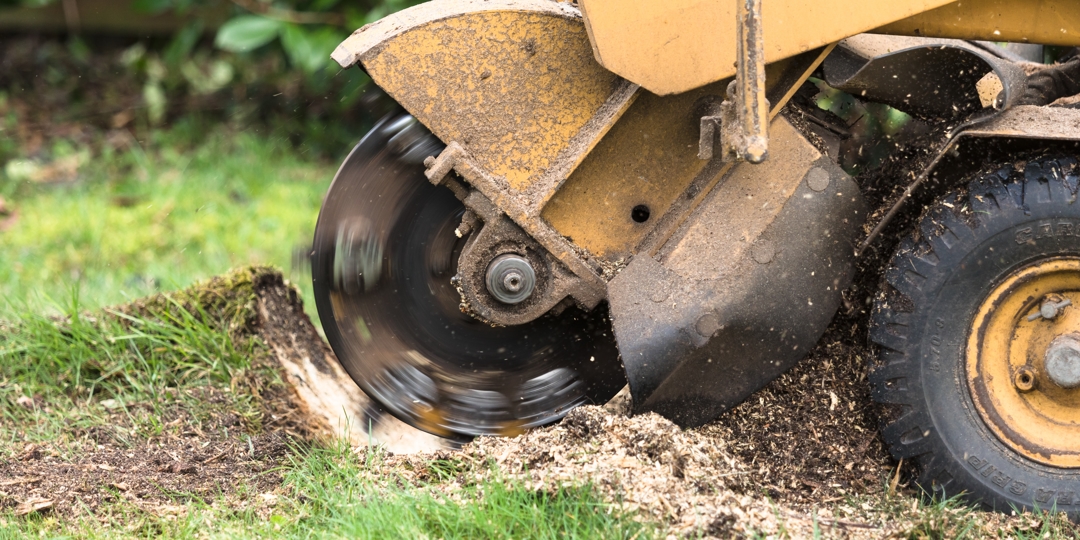 stump grinding machine