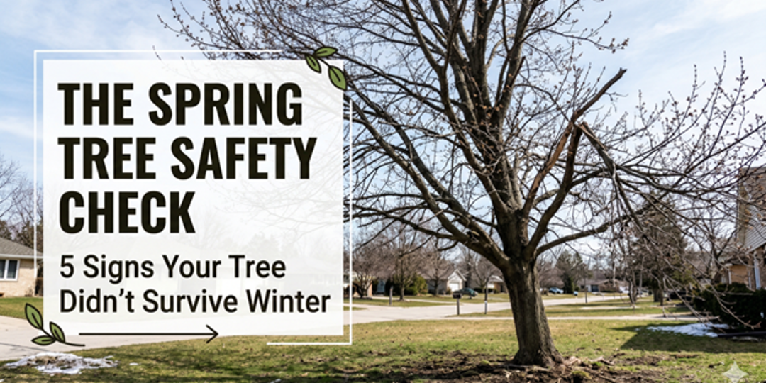 Spring Safety Check