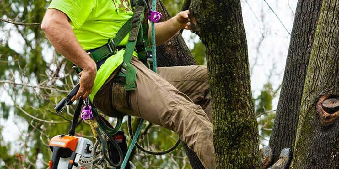 Monster Tree Service