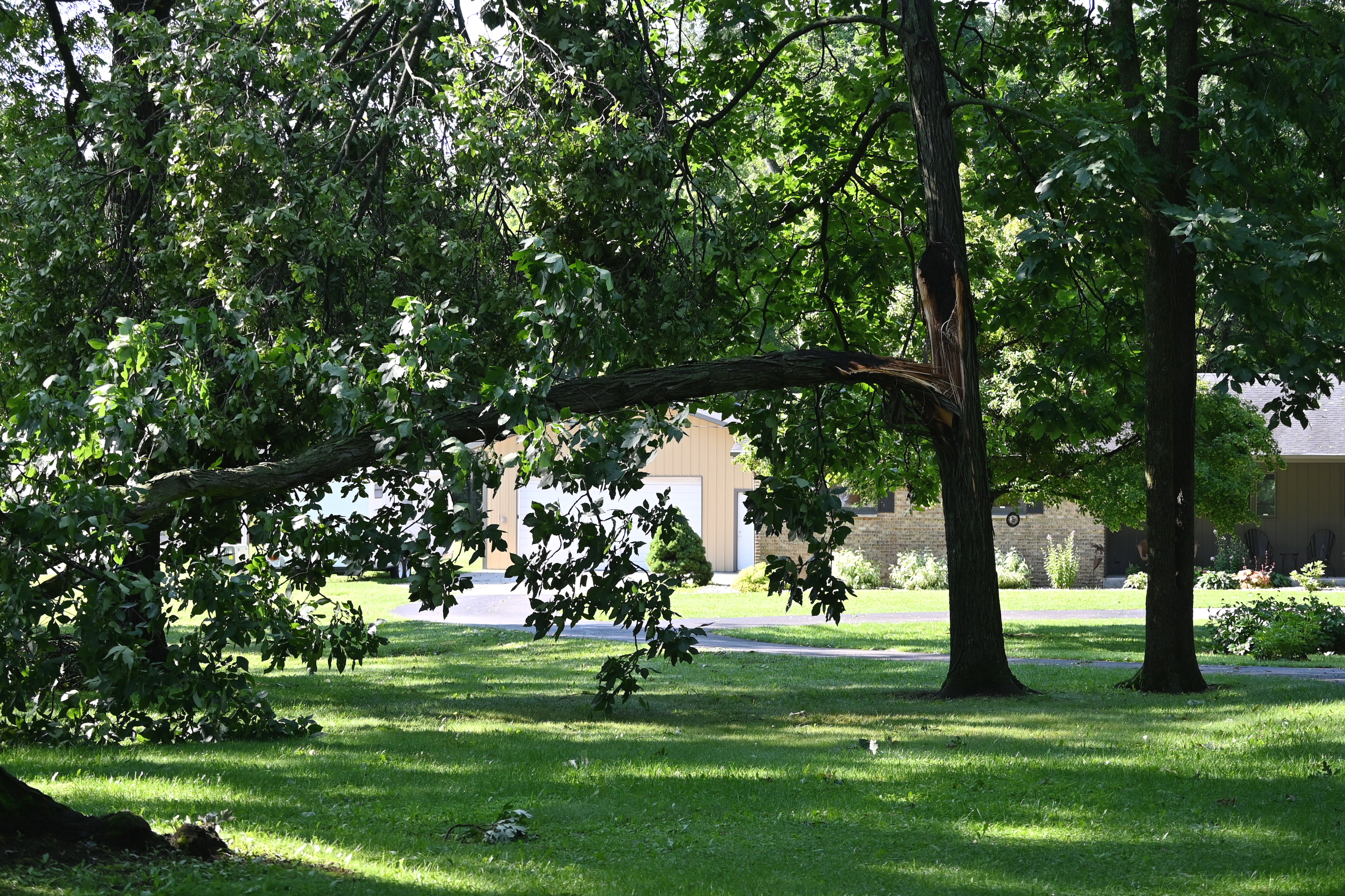 Understanding Sudden Limb Drop: Causes and Prevention Tips